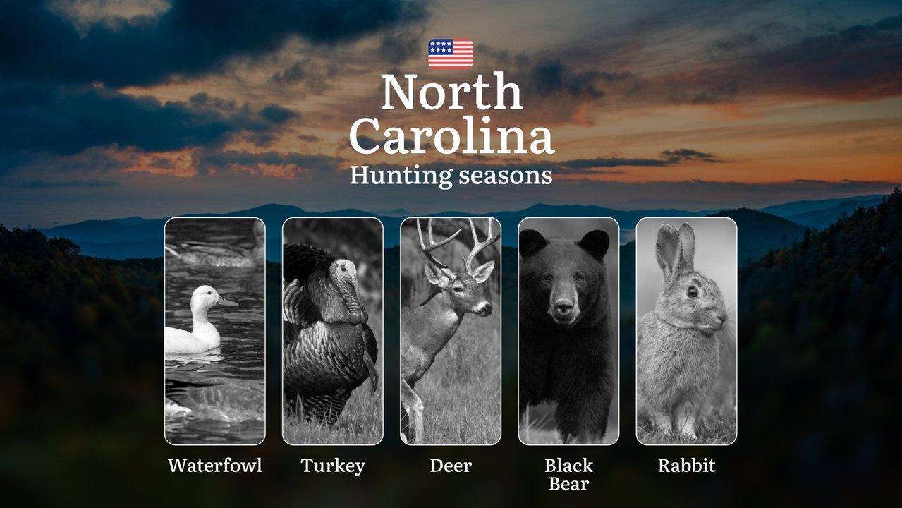 Hunting Seasons in North Carolina: Rules and Regulations, Restrictions and Prohibitions, Animal Activity and Seasons of Hunting

When the Season Opens for Hunting in Nort