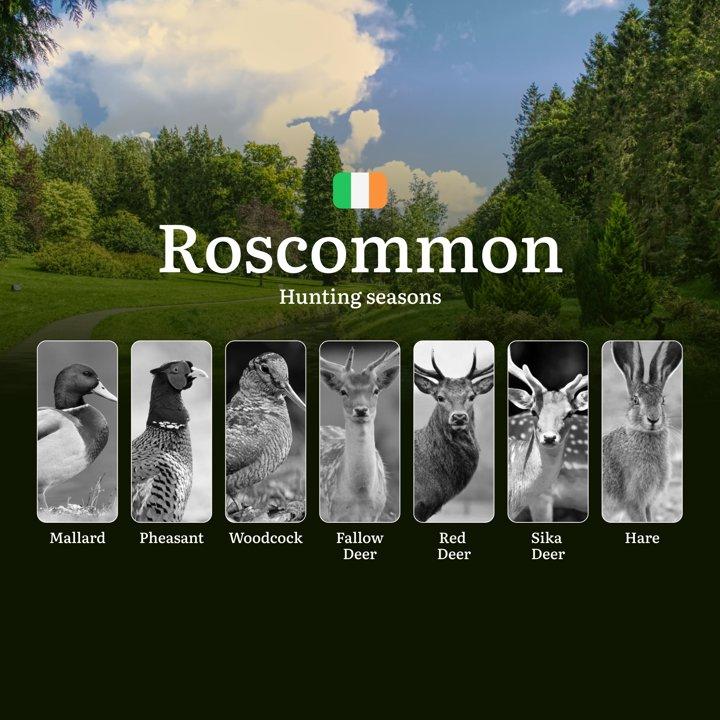 Discover the Best <strong>Hunting</strong> Seasons in ROSCOMMON: Calendar, Key Dates, Licenses, and Prime Game Opportunities

General <strong>Hunting</strong> Rules and S