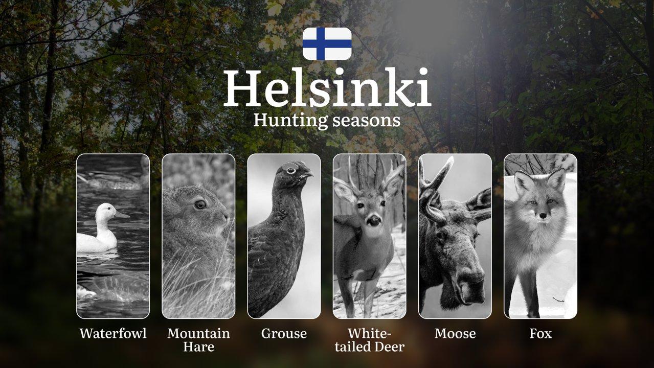 Hunting Seasons in HELSINKI: Key Periods, Regulations, Seasonal Variations and Practical Tips 

Helsinki’s southern coast location offers a unique blend of urban accessib