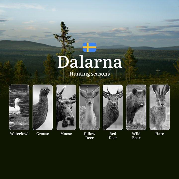 Hunting Periods and Local Rules <strong>in</strong> DALARNA: Species You Can Hunt Throughout the Year, Seasonal Activity of Game, and the Steps to Get a Legal Hunting Lic