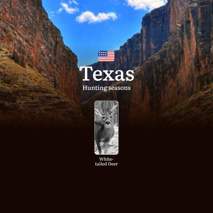 Hunting Seasons for Whitetail Deer in Texas, USA: Hunting Periods, Open and Close Dates, Licenses, Rules, and and Restrictions for Hunting

Hunting Rules and Season Dates