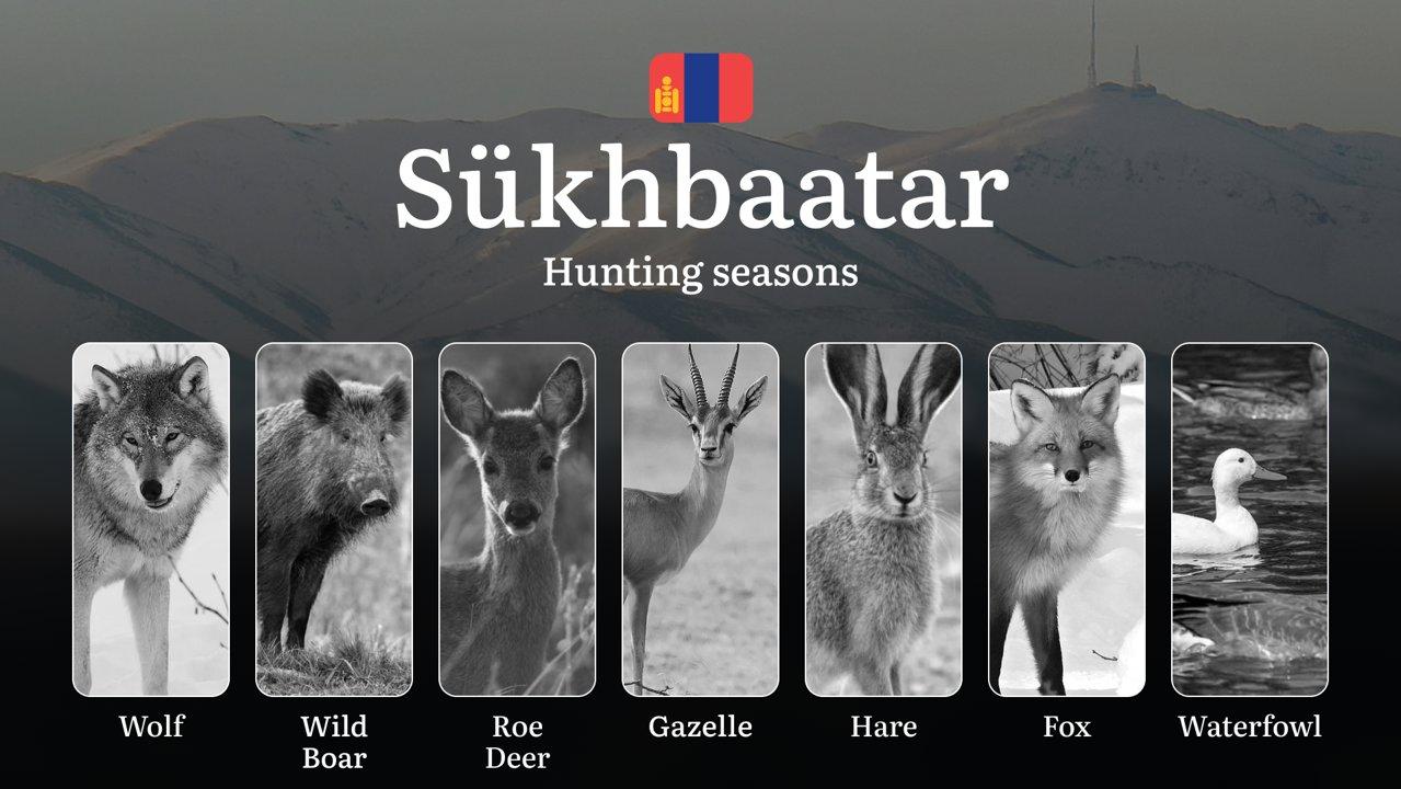 <strong>Hunting</strong> Seasons in Sükhbaatar Province: Restrictions, Bans, and Protected Species, Choosing Timing, Gear, and Tactics

Sükhbaatar Province in Mongolia of
