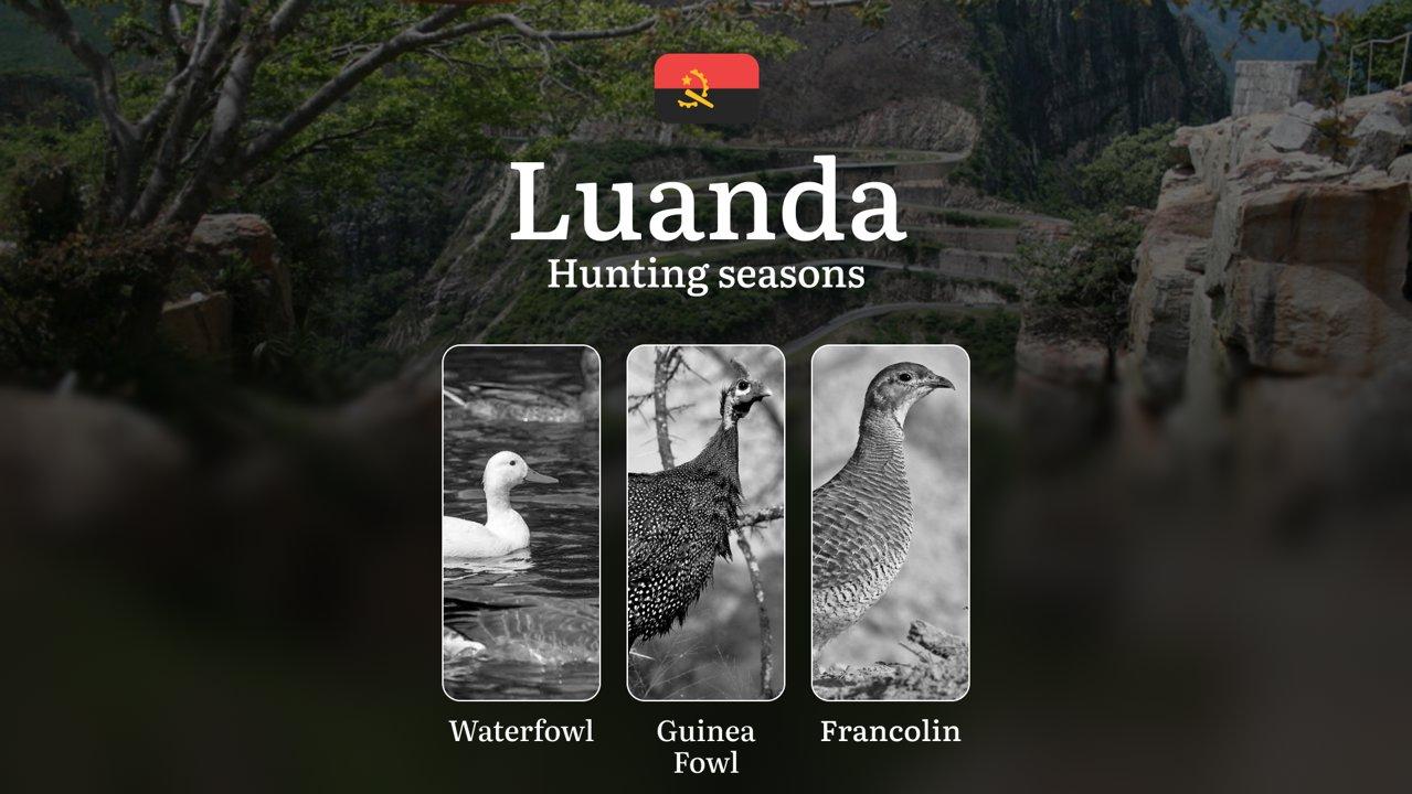 Hunting Laws and Seasons in Luanda: General Hunting Rules, Permits, Restrictions & Time-Honored Events 

General Hunting Rules and Seasons in Luanda

The official hunting