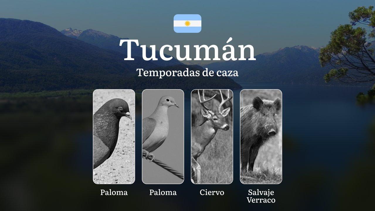 Caza en Tucumán: Temporadas de caza, Reglas y Mejores Épocas para la Caza, Factores que influyen en las fechas, Documentos necesarios