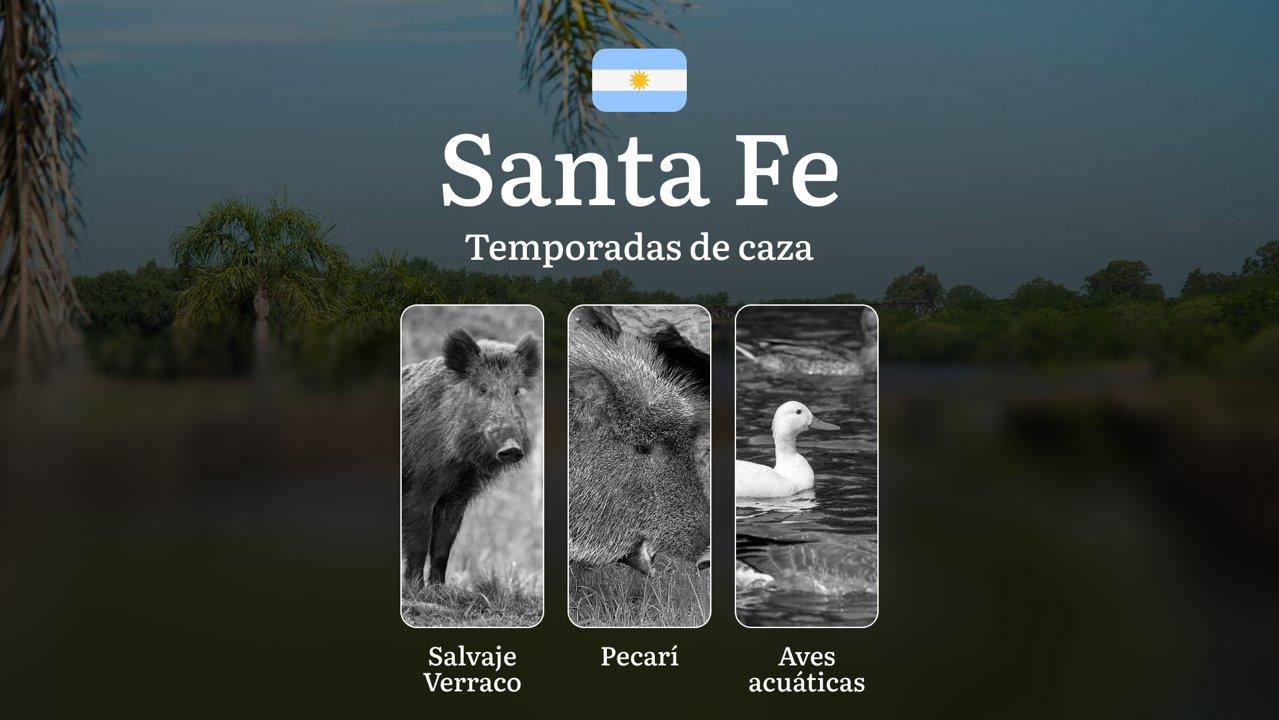 Santa Fe, Argentina:temporadas de caza en la región, épocas, permisos, normas y mejores épocas para la caza