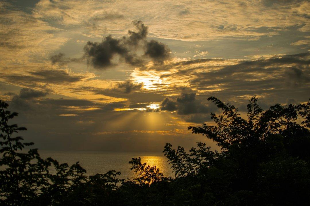La Chasse à MAYOTTE: Explorez les Particularités Naturelles, Naviguez dans la Législation et Découvrez des Faits Intéressants