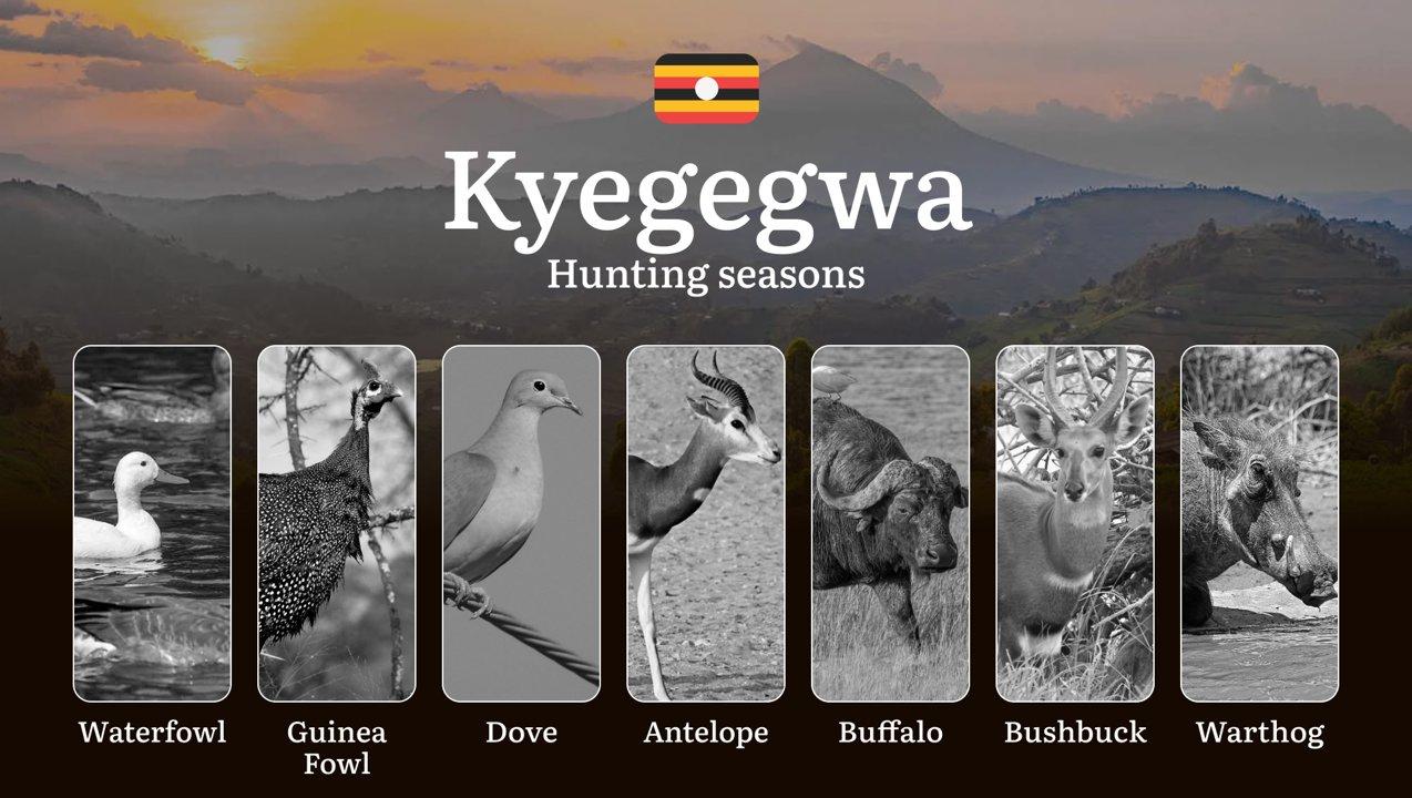 Hunting Date Ranges in Kyegegwa: Hunting Periods, Legal Limits and Seasonal Bans, Licensing Rules, Fines and Consequences, Strategic Planning, Timing, Equipment