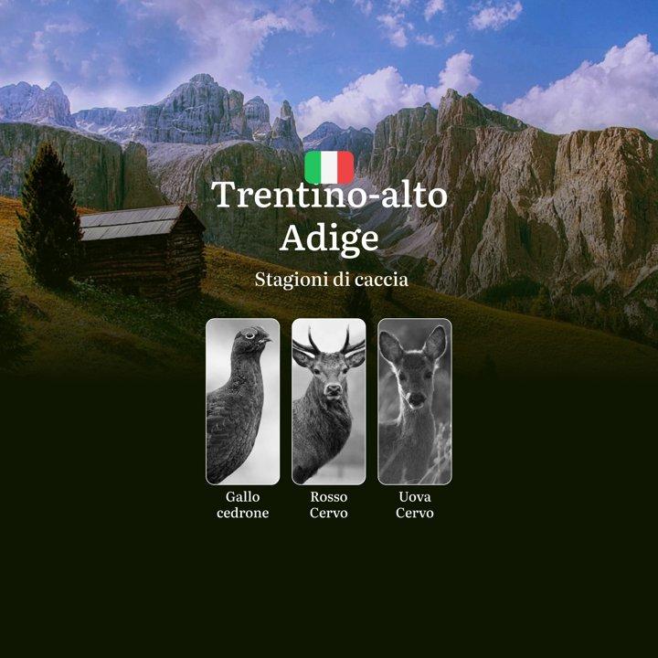 Caccia in Trentino-Alto Adige: Tra Montagne Maestose, il Calendario Venatorio, Normative Rigide e Tradizione Venatoria Millenaria