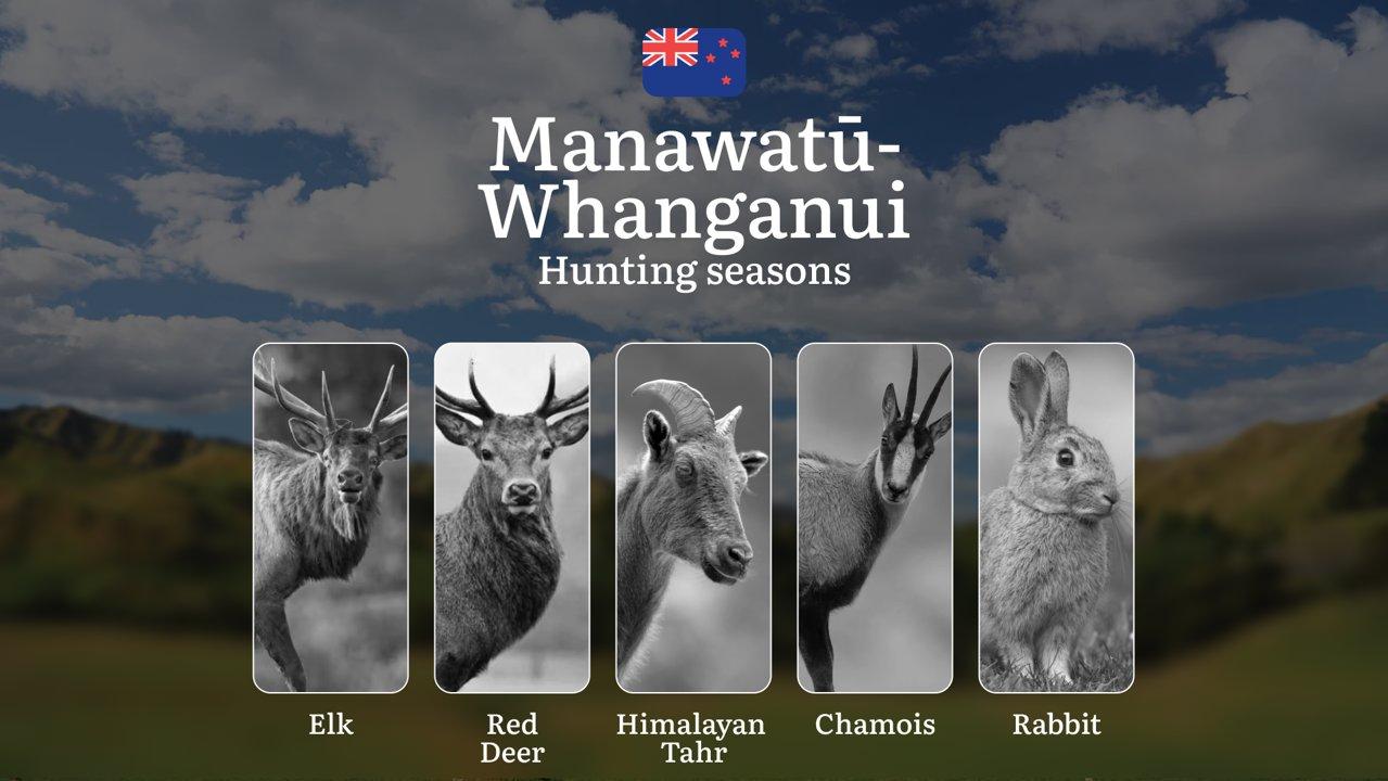 Hunting in the MANAWATŪ-WHANGANUI Region: Seasons, Rules Regulations and Best Times for Hunting