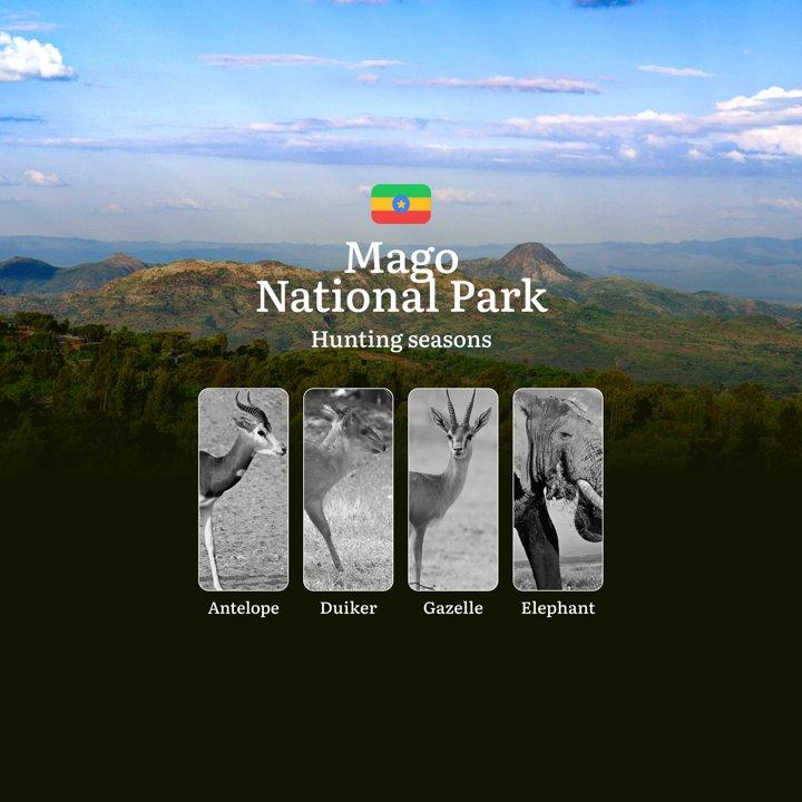 Hunting Seasons in Ethiopia, MAGO NATIONAL PARK Region: Seasonal Features of Hunting, Prohibitions and Restrictions, Practical Tips for Planning a Hunt 