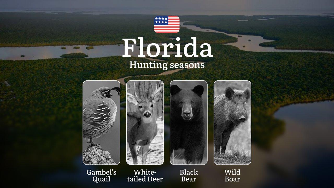 <strong>Wild</strong> Hog Hunting Seasons in Florida: Dates, Licenses, Regulations and Best Practices, Tips for Choosing the Right Time, Location, and Tactics

When Can Y