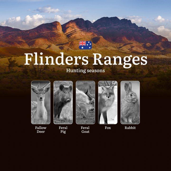 Flinders Ranges Hunting Calendar: When the Ancient Landscape Calls - Goats, Deer and Mountain Game Pursuits
