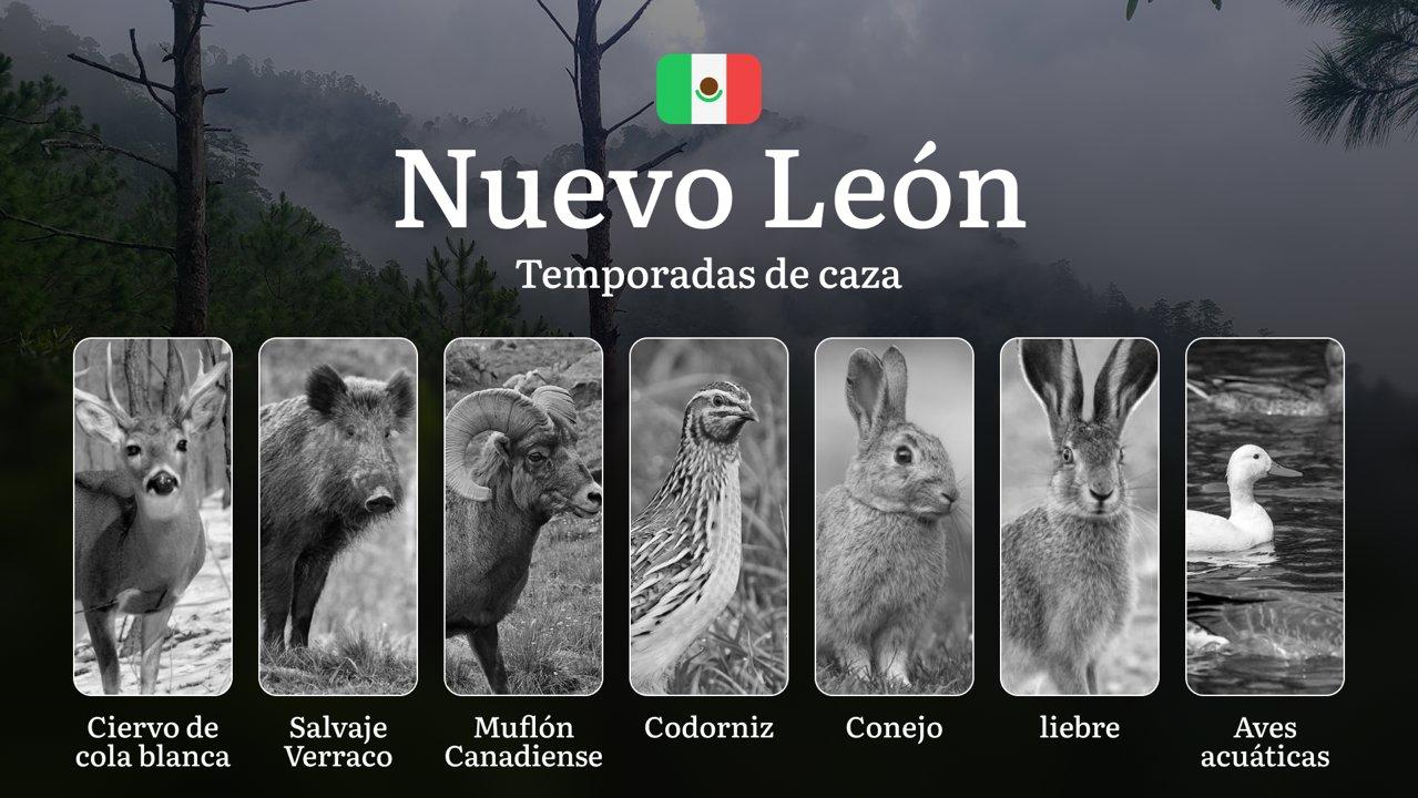 Temporadas y períodos de caza en Nuevo León: Periodos Legales, Especies y Recomendaciones para Cazadores