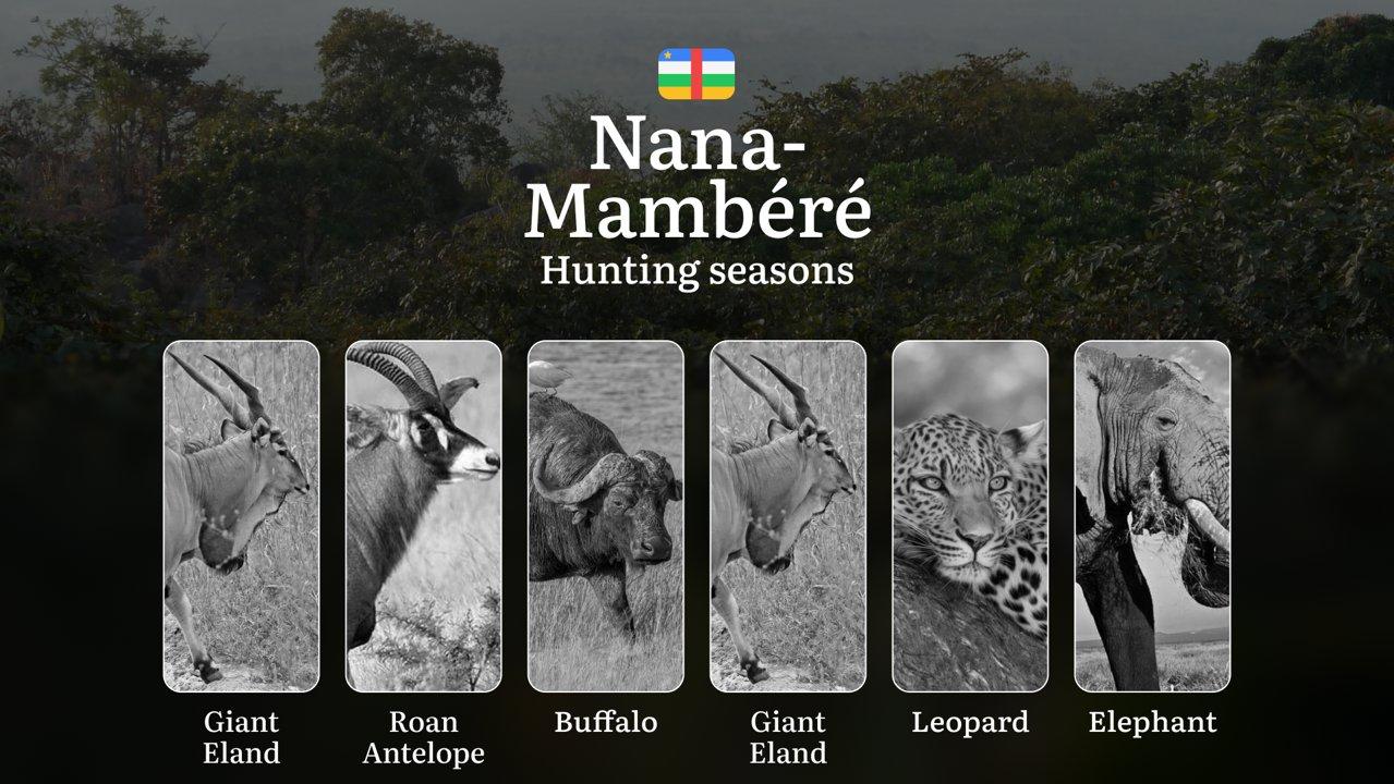 Hunting in Nana-Grébizi: Understanding Hunting Calendar, Legal Permits and Restrictions, Local Hunting Traditions