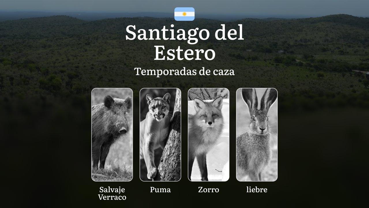Santiago del Estero, Argentina: fechas, permisos, reglas y tácticas, temporadas de caza en la provincia, características de la presa, restricciones y especies protegidas
