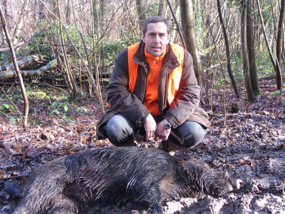 La chasse dans les YVELINES: Forêts royales, territoires giboyeux, traditions d’élite et gestion durable aux portes de la capitale