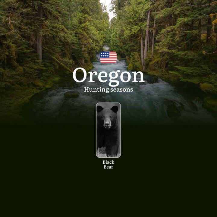 Black Bear Hunting Seasons in Oregon, USA: Dates, Licenses, Rules, and Best Times to Hunt