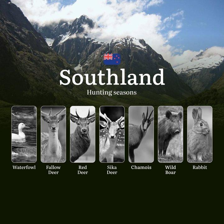 SOUTHLAND Region in New Zealand – Hunting Seasons, Rules, Licenses and Tips, Tactics, Gear, and Timing, Restrictions and Prohibitions
