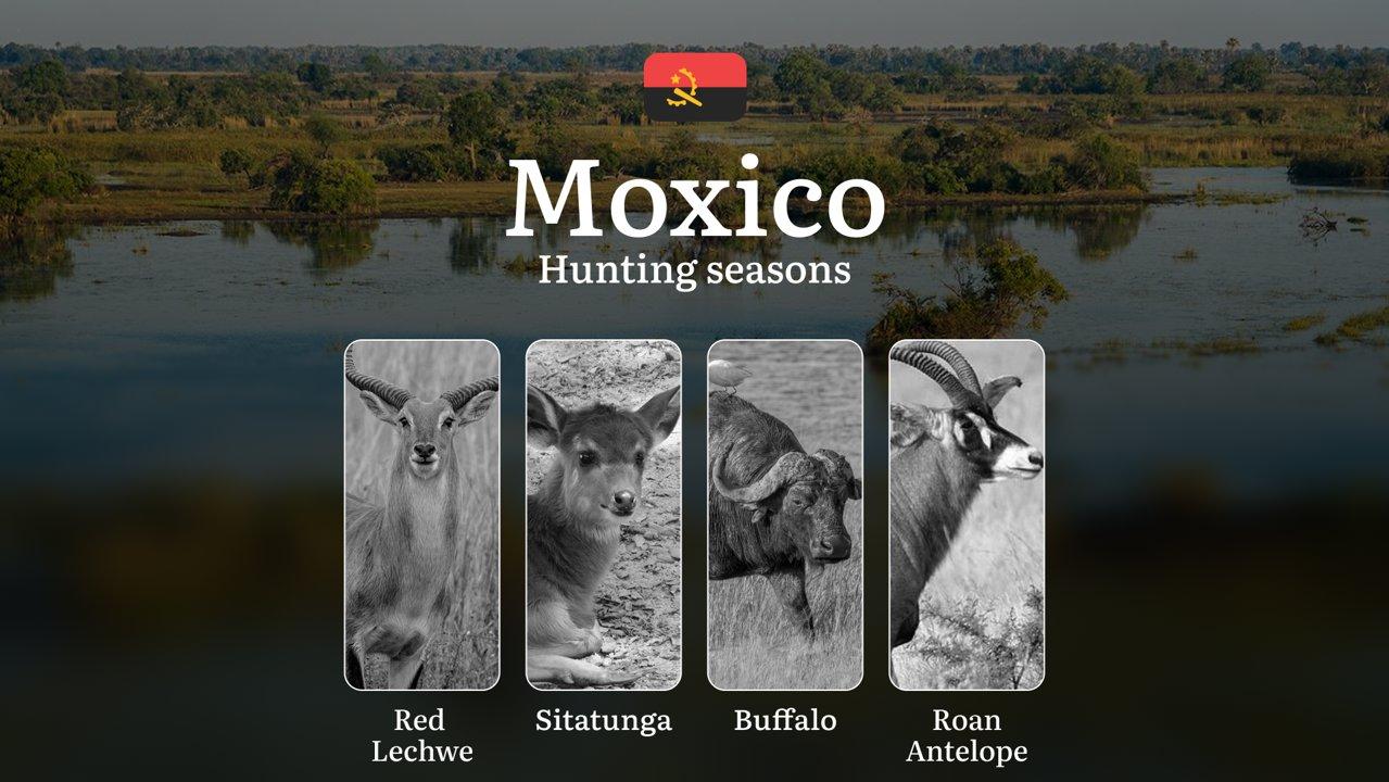 Hunting Seasons of Moxico: Exploring General Hunting Rules, Legislation and Permits, Hunter Events and Cultural Experiences