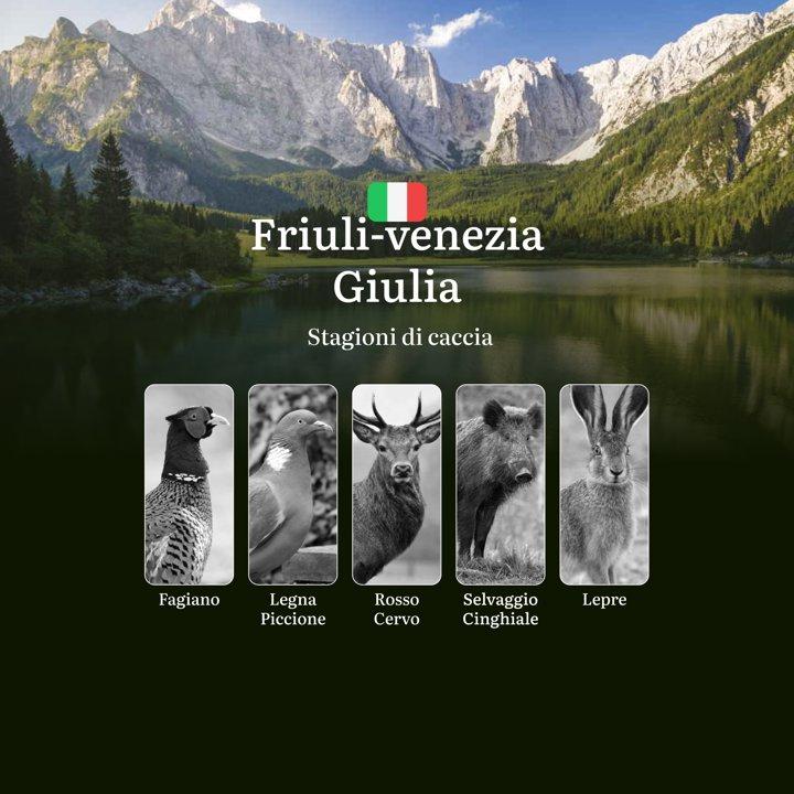Dalle Alpi Giulie alla Laguna di Grado: Calendario Venatorio Completo del Friuli-Venezia Giulia con Date e Zone Migliori
