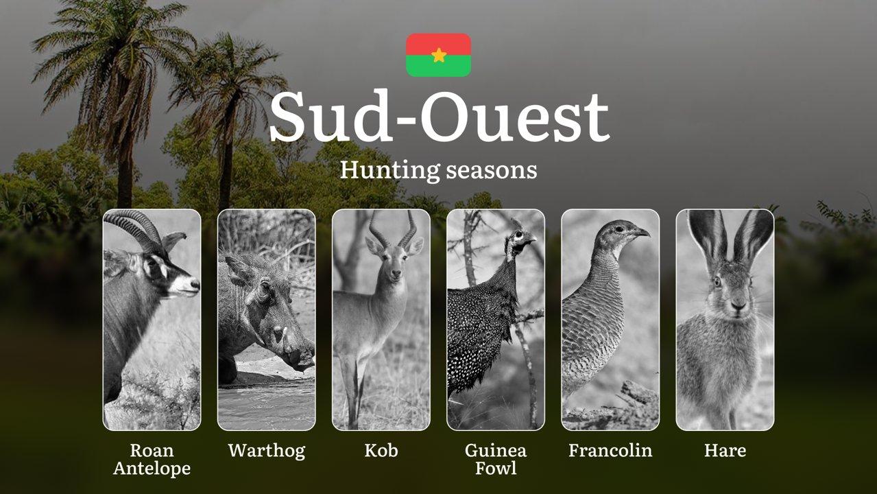 Hunting Seasons in SUD-OUEST: Optimal Hunting Periods, Legal Requirements, Protected Species, Seasonal Restrictions, and Practical Tips