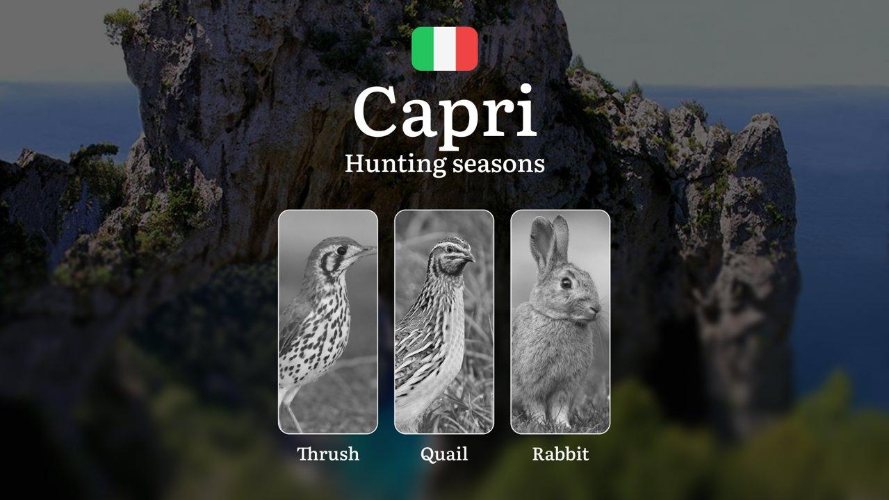 Capri's Hunting Laws: Seasonal Calendar, Permanent No-Hunt Zones, and Emergency Wildlife Exceptions

General Regulations and Hunting Periods on Capri

Hunting on the pict