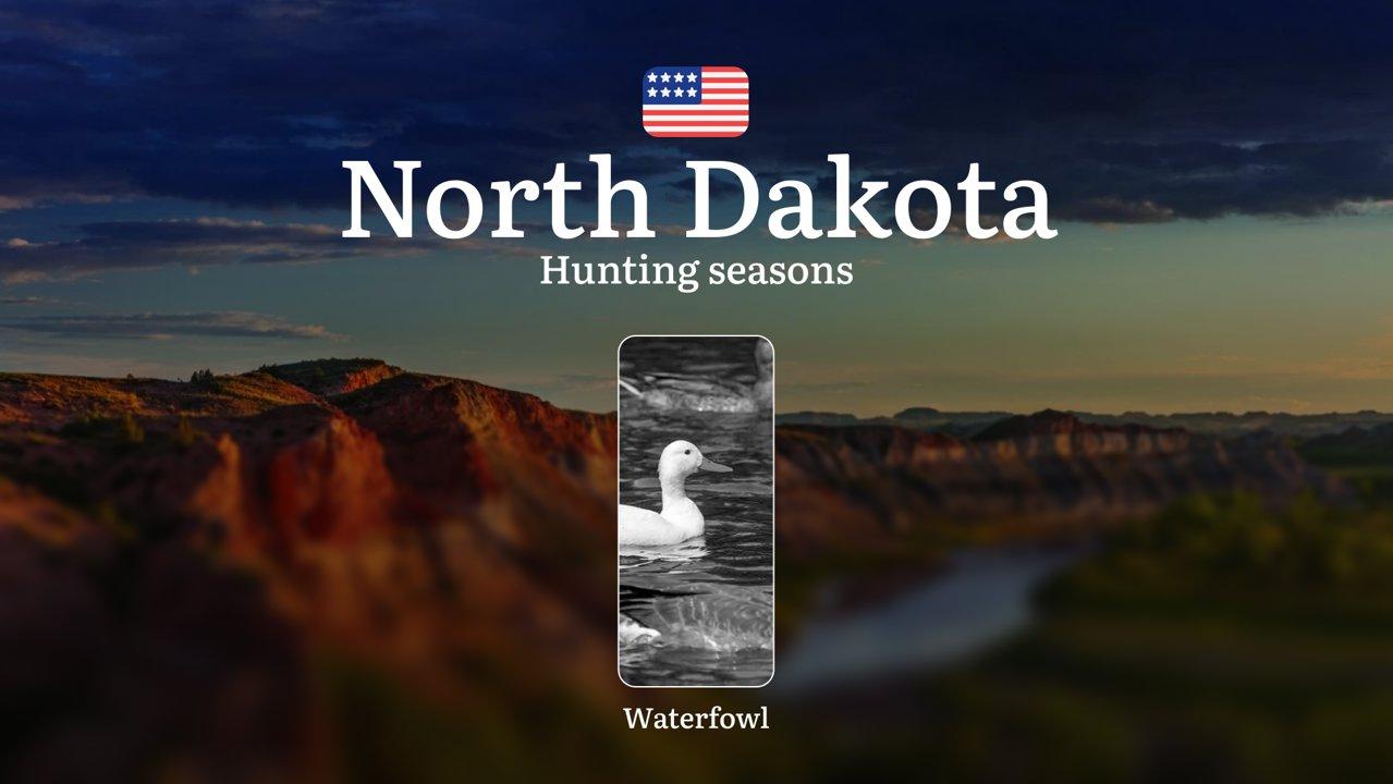 Waterfowl Hunting Seasons in North Dakota: Dates and Seasonality of Hunting, Bans, Restrictions and Protected Species

Main Rules and Timeframes for Waterfowl Hunting Sea