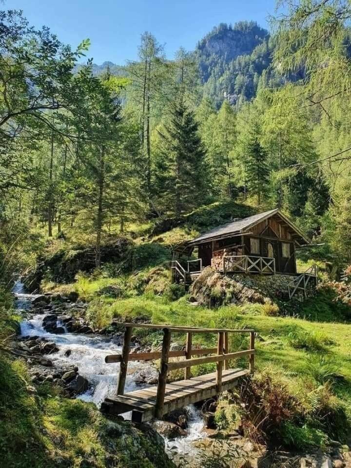 💚