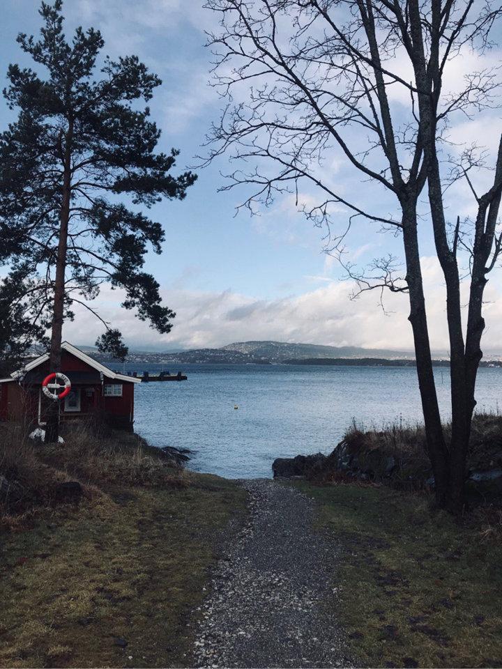 📍Nesoddtangen <strong>Island</strong>
