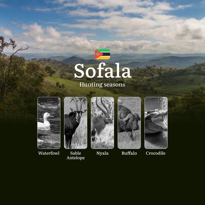 When the Floodplains Give Life: Sofala's Strategic Hunting Seasons and Calendar for Discerning Hunters