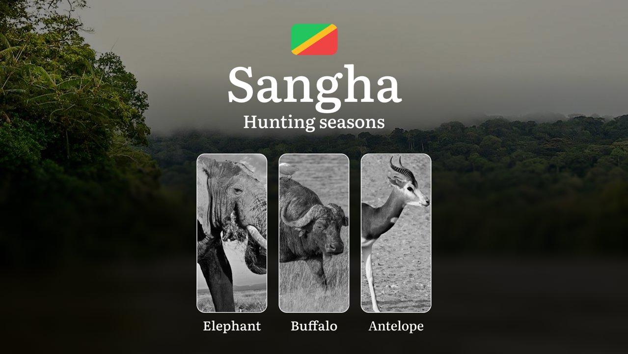 Hunting Dates in the Republic of the Congo, Sangha Region: Seasons and Time of Hunting, Licenses, and Rules, Tactics for Hunters and Permits