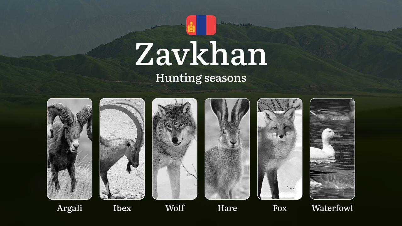 Hunting Seasons in Zavkhan Province: Restrictions, Bans, and Protected Species, Choosing Timing, Gear, and Tactics