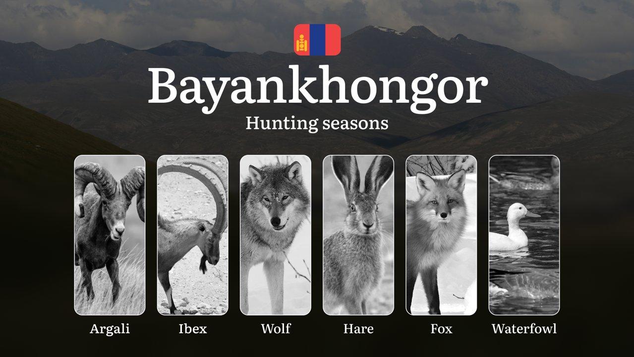 Hunting Seasons in Bayankhongor Province: Regulations, Permits, and Time for Hunting, Documents and Organizations