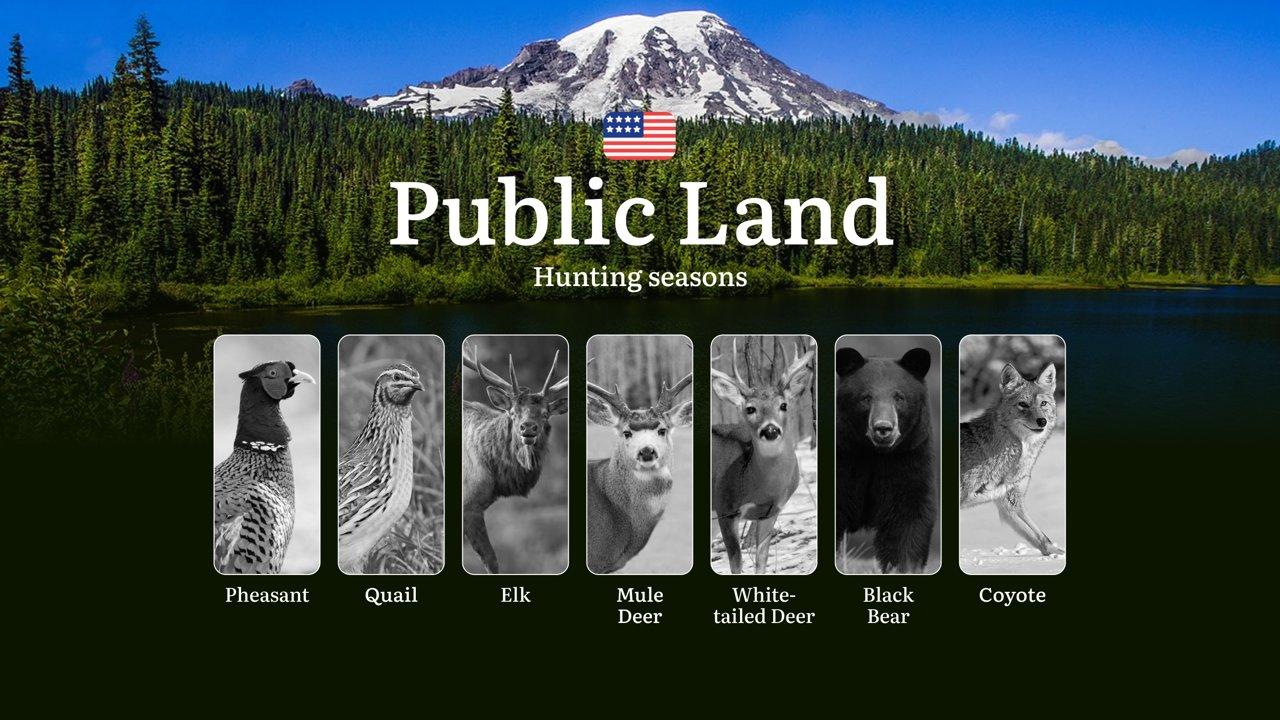Post Card