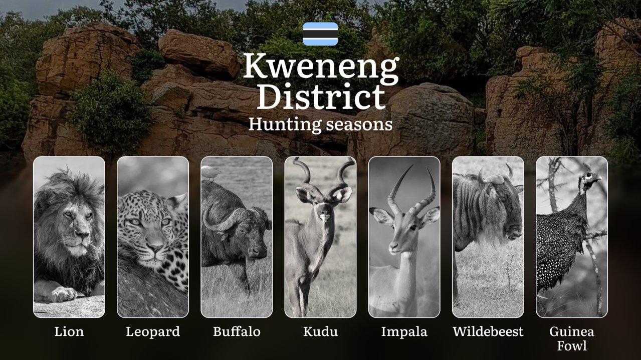 Hunting Periods in Kweneng District: Regional Regulations, License Application Steps, Off-Season Penalties, Timing, Equipment, and Field Strategies