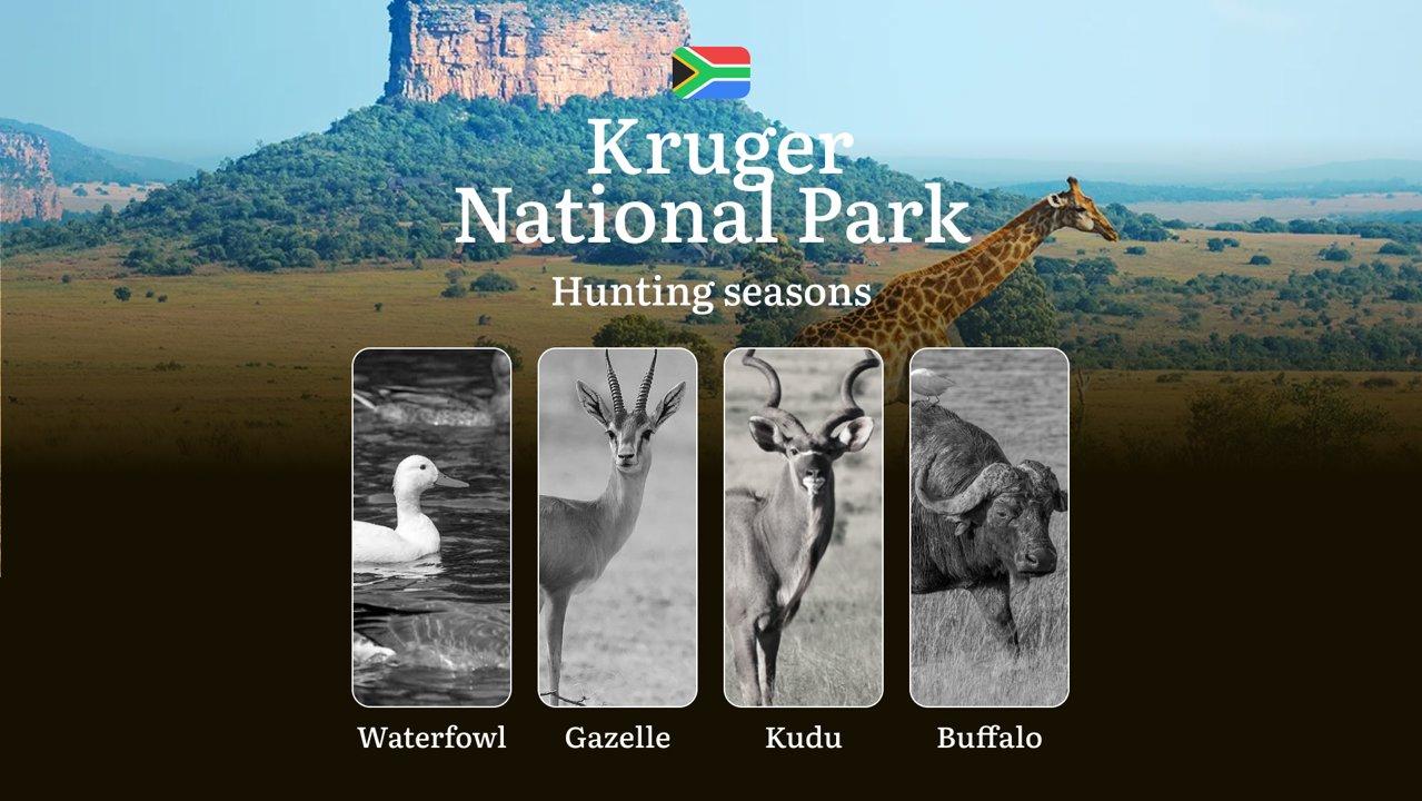 Hunting Seasons in South Africa: Kruger National Park Regulations, Timings and Periods, Limits and Rules, Tactics for Hunters

Hunting Rules and Timeframes in Kruger Nati