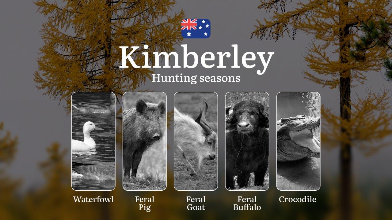 Kimberley's Hunting Calendar: When the Monsoon Dictates the Chase - Buffalo, Banteng and Outback Adventures

Hunting Regulations & Seasonal Framework in the Kimberley

Th