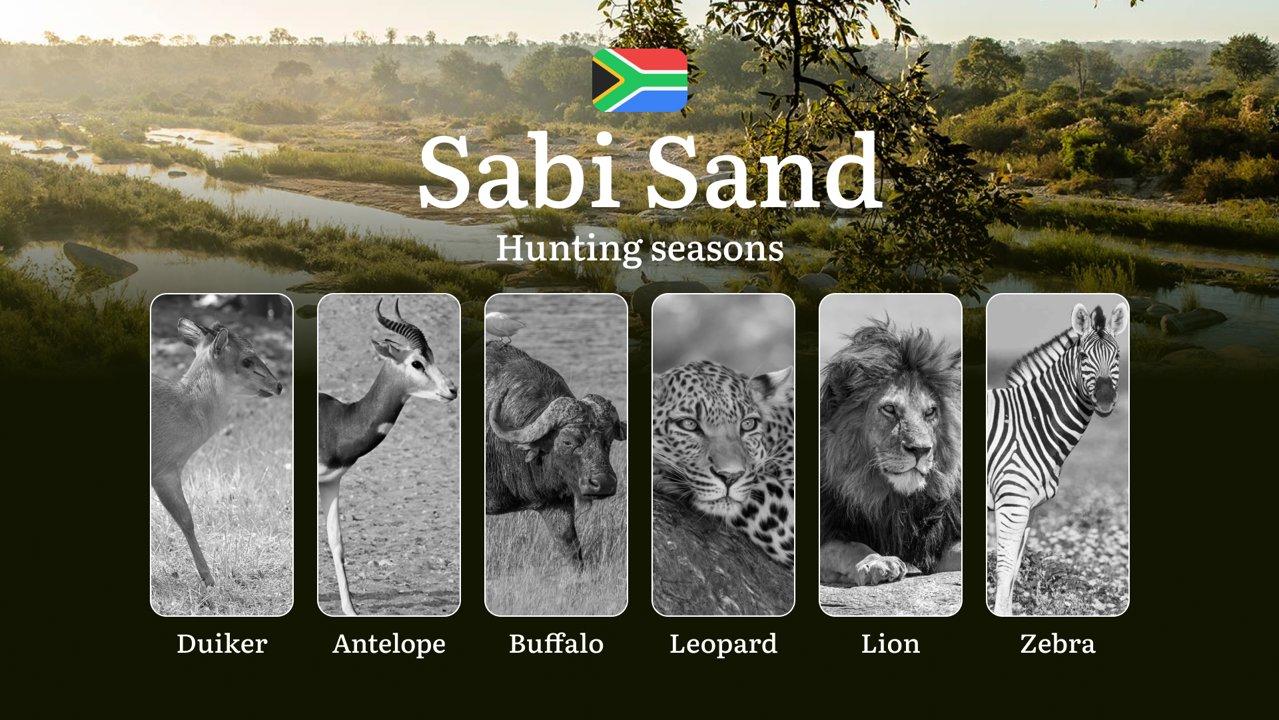 Hunting Timing in Sabi Sand: Periods and Dates of Hunting, Tips and Tactics for Hunters, Limits and Permits