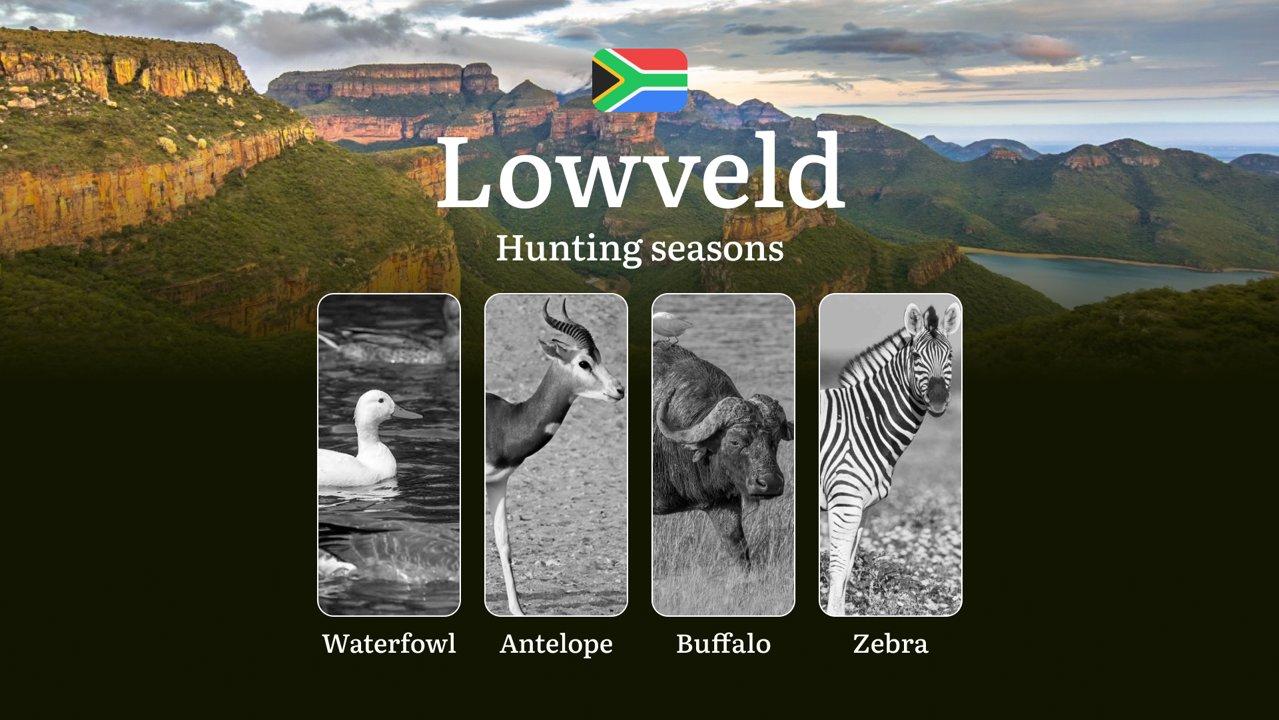 Hunting Seasons in South Africa Lowveld: Hunting Periods and Dates, Licenses, Rules and Times for Hunting, Tips for Hunters