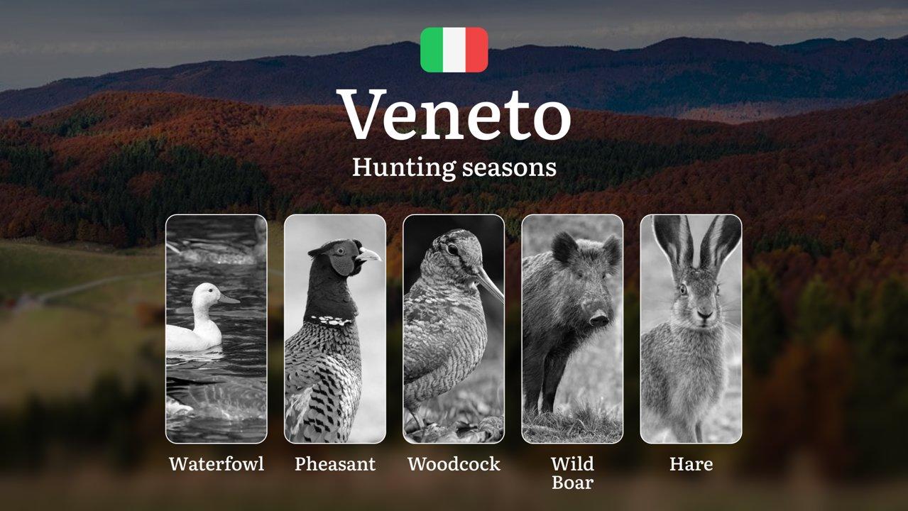 When to Hunt in Veneto: A Seasonal Breakdown of Alpine Meadows and Po Valley Opportunities

The Veneto region offers a wide range of hunting opportunities across its dive