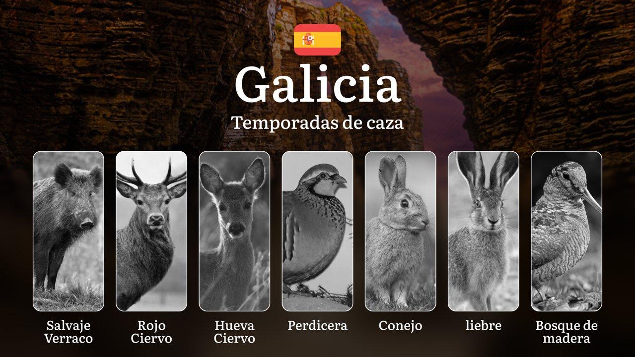 Caza en GALICIA:  Temporadas y períodos de caza, Normativas Autonómicas y Mejores Zonas por Especies - Todo lo que Necesitas Saber 