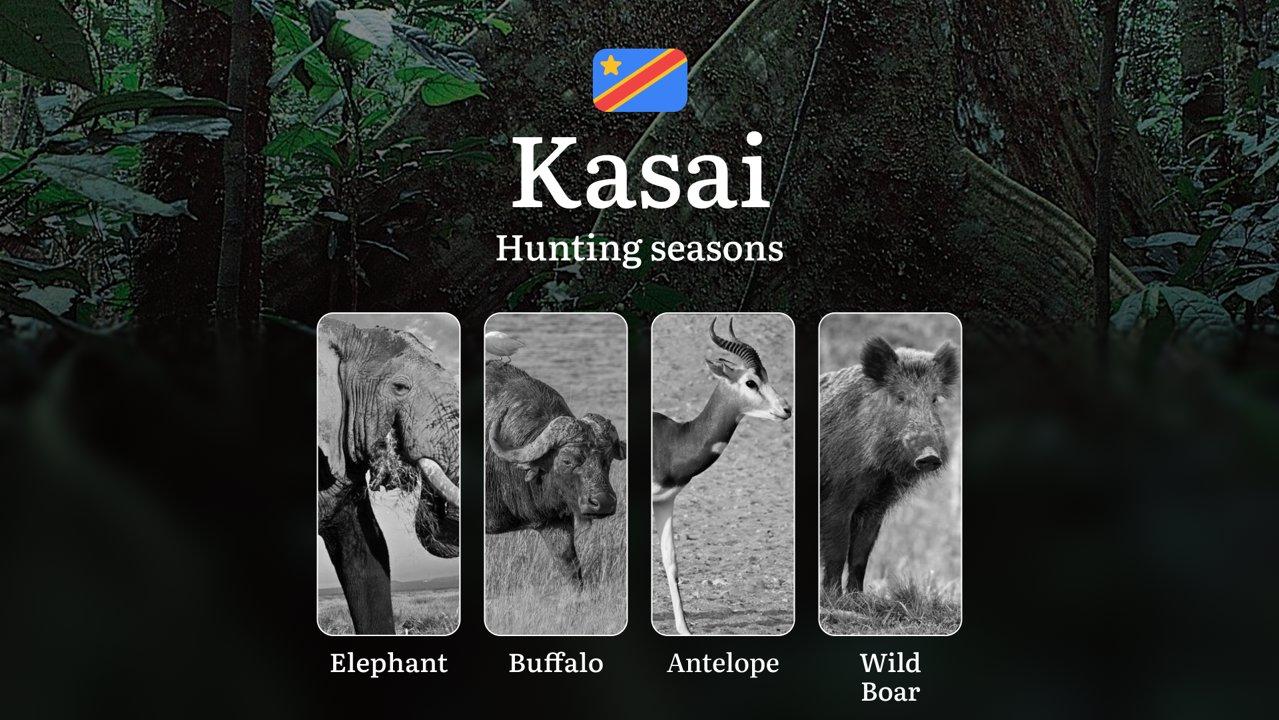 Seasonal Hunting Periods in Kasaï (DRC): Seasonal Game Patterns, Licensing Rules, Documents and Hunting Closures 