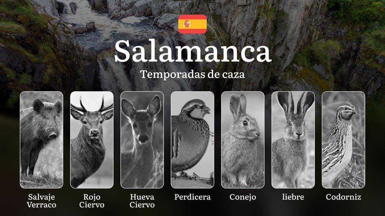 La Cinegética en SALAMANCA: Normas, Temporadas, períodos de caza y Licencias para una Cacería Exitosa y Legal