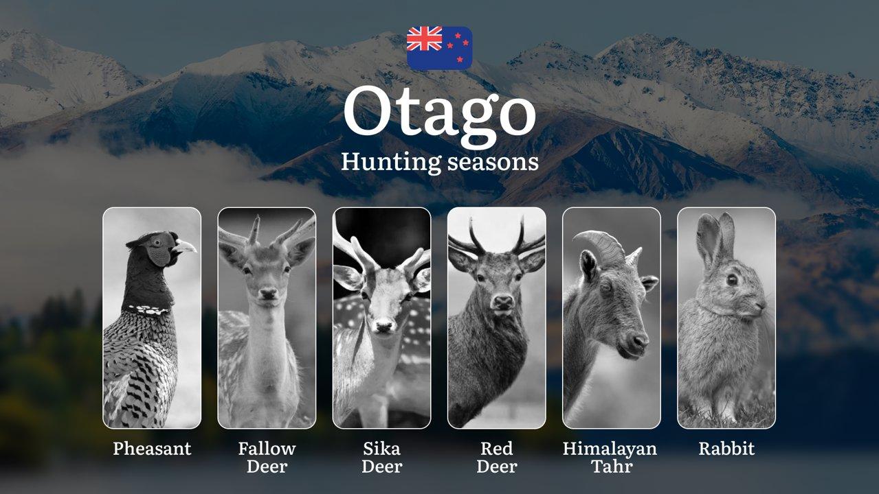 Time of hunting, Equipment and Tactics in New Zealand: OTAGO Region – Seasons, Licences and Rules 

Rules and Hunting Seasons in Otago: How Dates Are Regulated and Why It