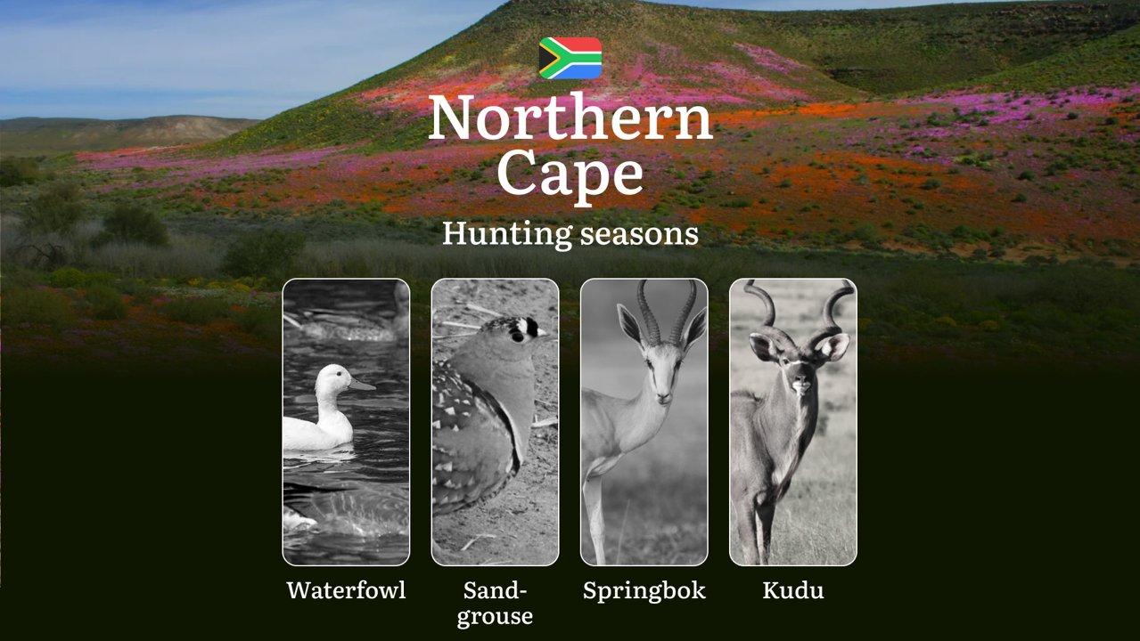 Hunting Dates in South Africa’s Northern Cape: Hunting Periods, Openings and Closings, Licenses, Rules, and Times for Hunting
