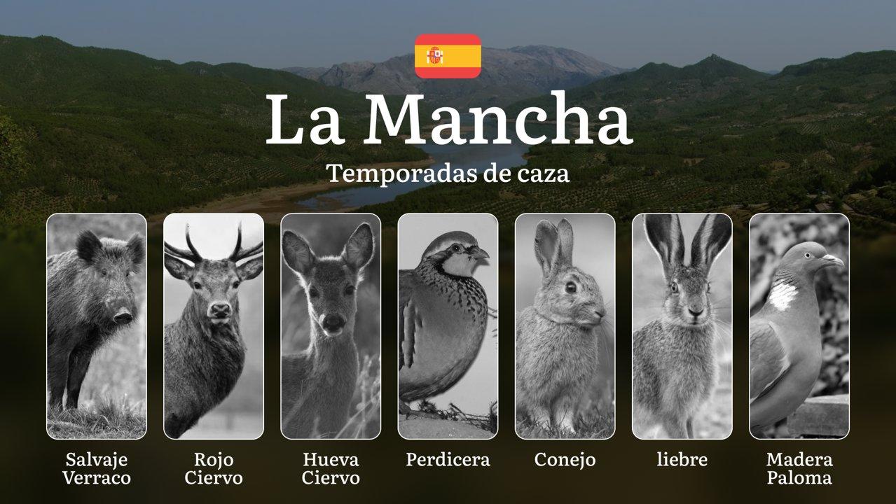 Caza en LA MANCHA: Temporadas y períodos de caza, Normativas y Mejores Zonas para Aprovechar la Riqueza Cinegética de Castilla-La Mancha