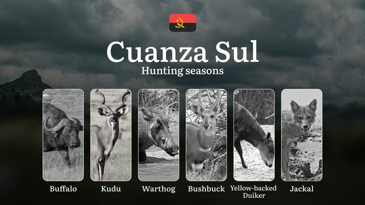 Hunting Through the Seasons in Cuanza Sul: Rules, Permits & Cultural Events and Traditions

General Hunting Rules and Seasons in Cuanza Sul

 The official hunting season 