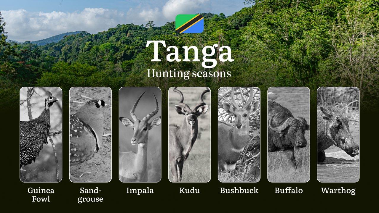 Hunting Date Ranges in Tanga: Species Available Throughout the Year, Seasonal Game Patterns, and Steps to Acquire an Official Hunting License