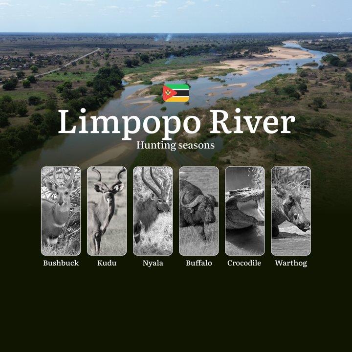 From Buffalo Thunder to Bird Feathers: Decoding the Perfect Hunting Calendar in Mozambique's Limpopo River Wilderness