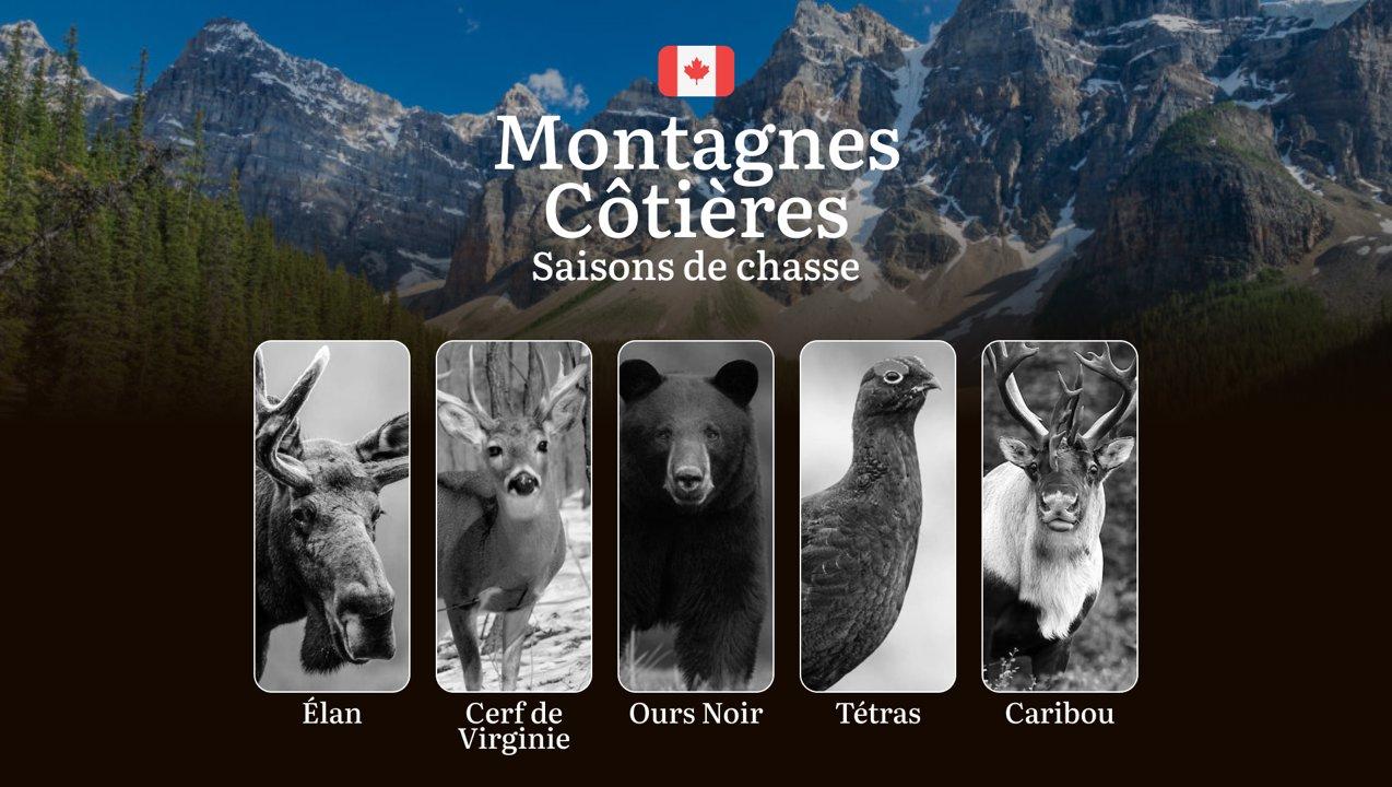 Les périodes de chasse dans les MONTAGNES CÔTIÈRES au Canada: Les dates d'ouverture/fermeture, l'obtention des permis, les règlements essentiels 